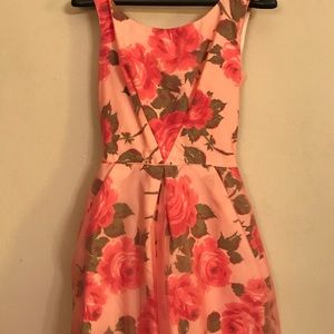 Vintage organza rose print dress